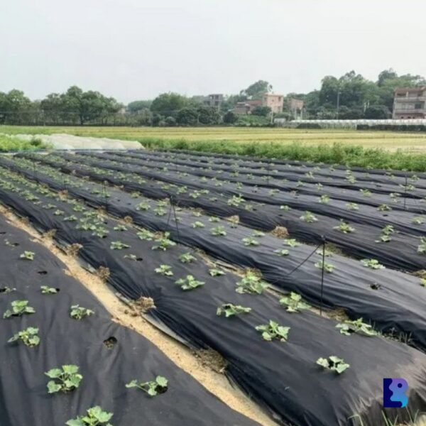 Non Woven Weed Control Fabric