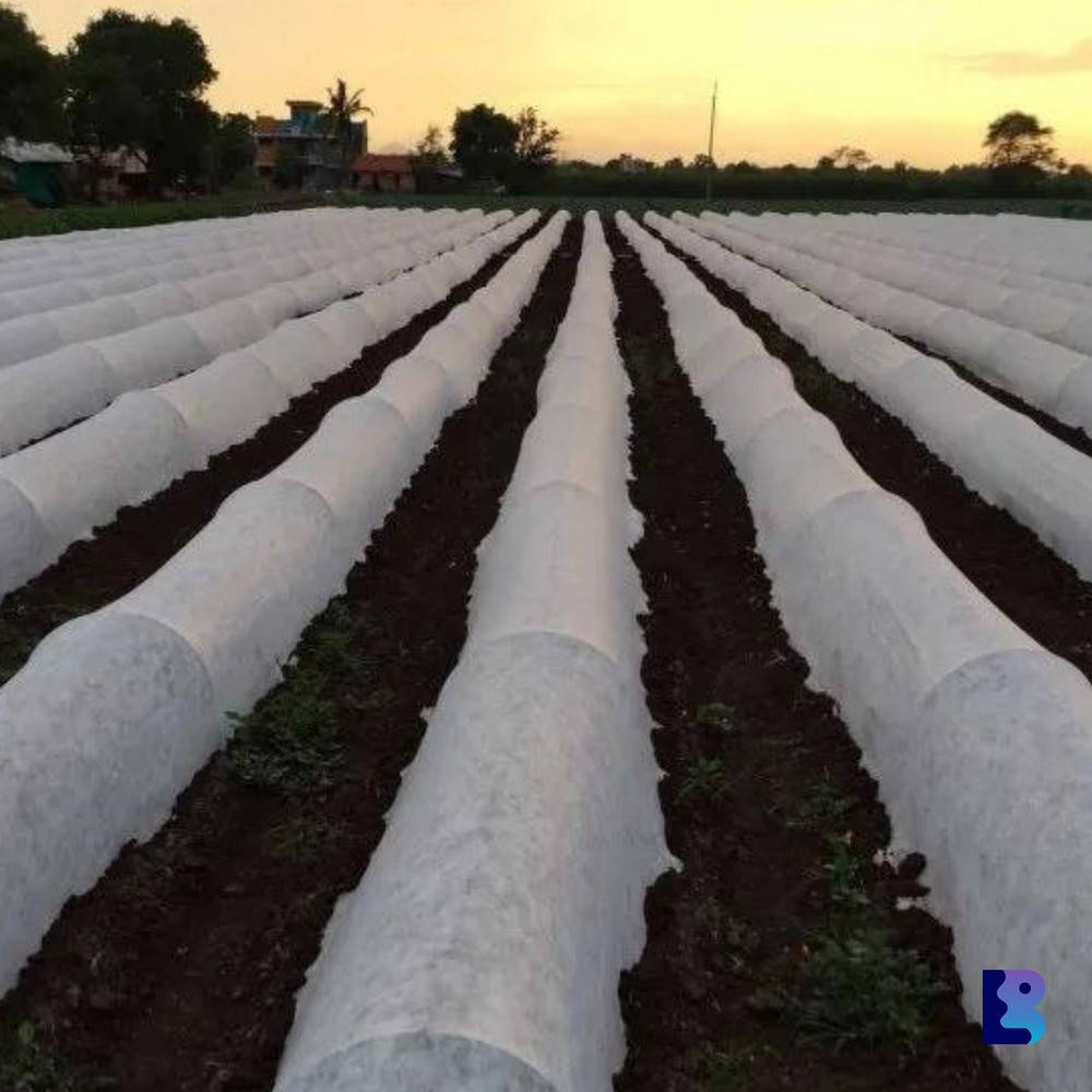 Non-Woven-Crop-Cover.jpg