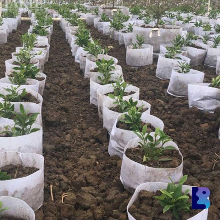 Root Control Non Woven Bag | Non Woven Nursery Bags - Image 3