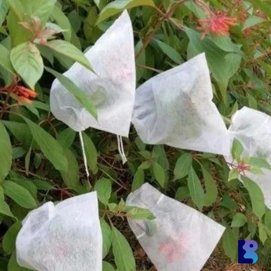 Non Woven Fruit Protection Bags | Fruit Protection Covers