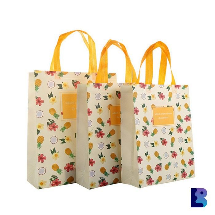 Non woven Shopping Bags - Image 2