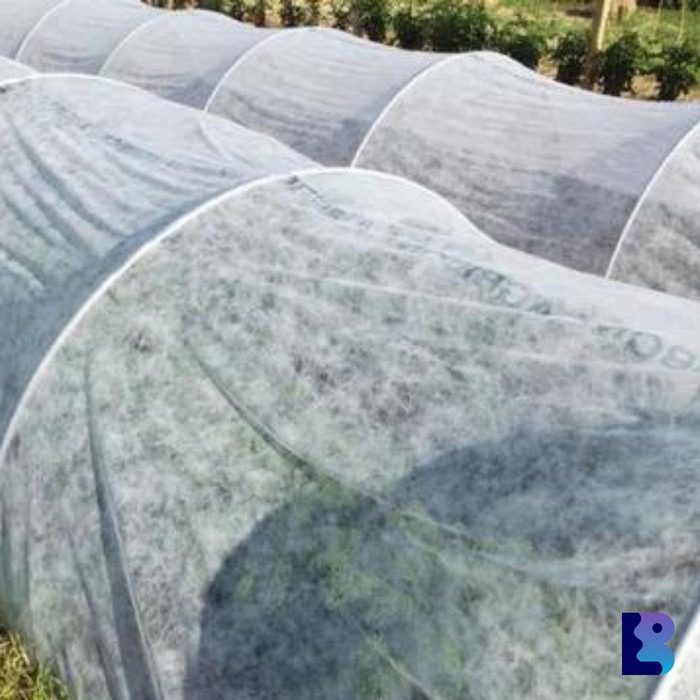 Non Woven UV Resistant Fabrics - Image 2