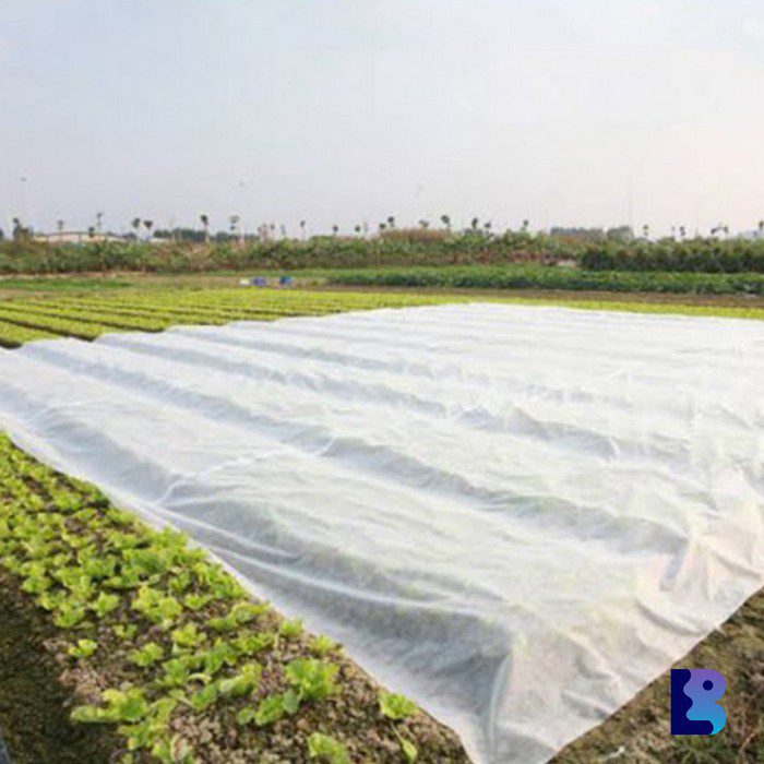 Non Woven UV Treated Ground Cover | UV Treated Non Woven Fabric - Image 2